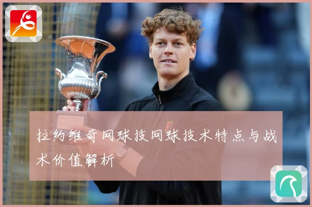 拉约维奇网球技网球技术特点与战术价值解析