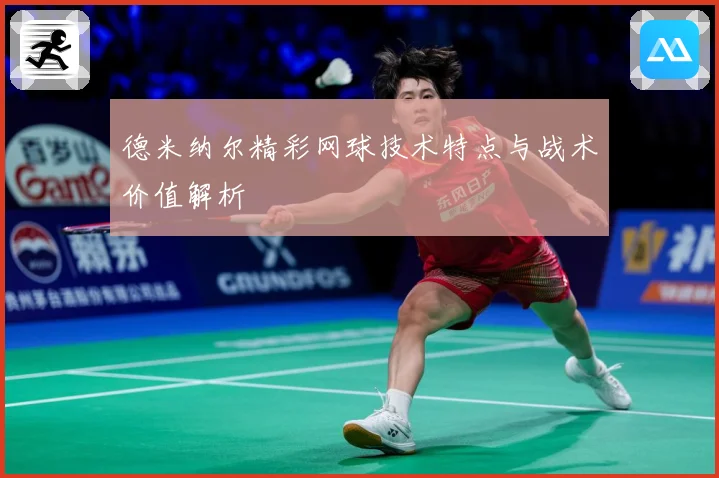 德米纳尔精彩网球技术特点与战术价值解析