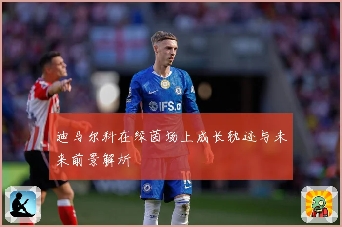 迪马尔科在绿茵场上成长轨迹与未来前景解析