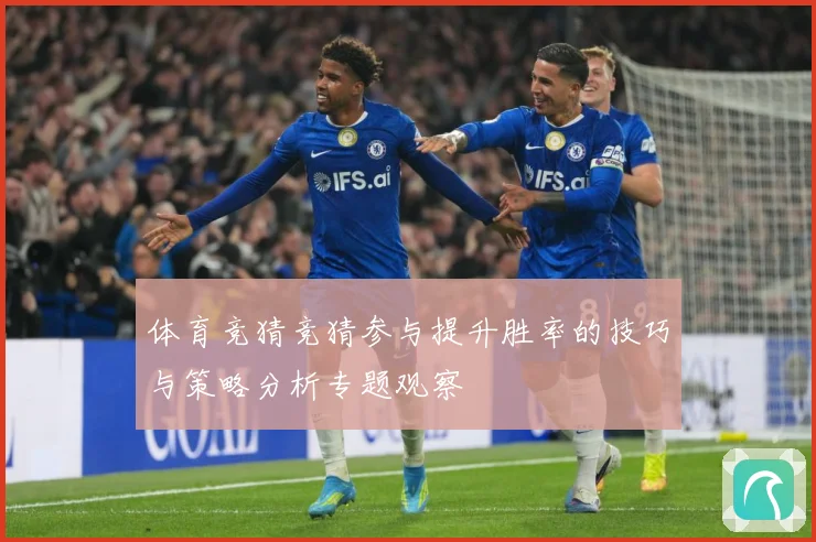 体育竞猜竞猜参与提升胜率的技巧与策略分析专题观察