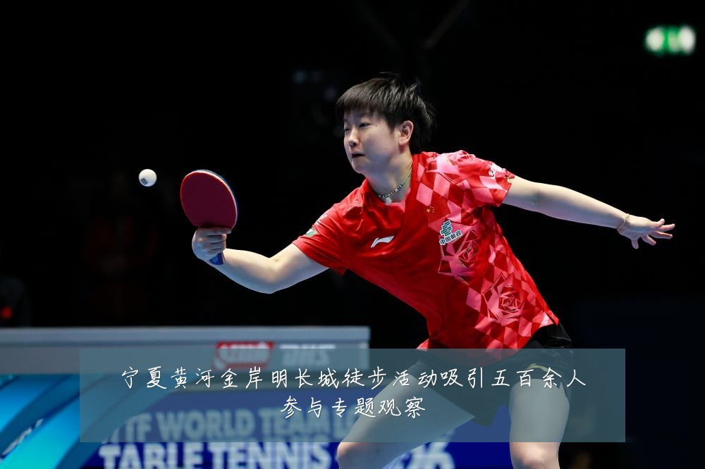 宁夏黄河金岸明长城徒步活动吸引五百余人参与专题观察